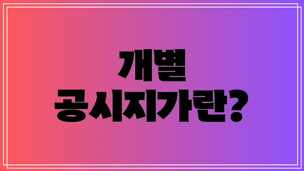 개별 공시지가란?