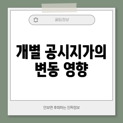 개별 공시지가의 변동 영향
