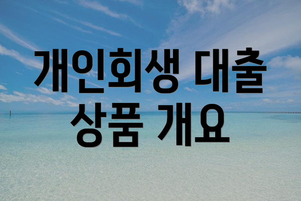 개인회생 대출 상품 개요