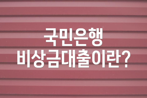 국민은행 비상금대출이란?