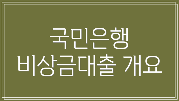 국민은행 비상금대출 개요