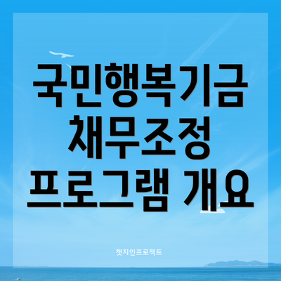 국민행복기금 채무조정 프로그램 개요