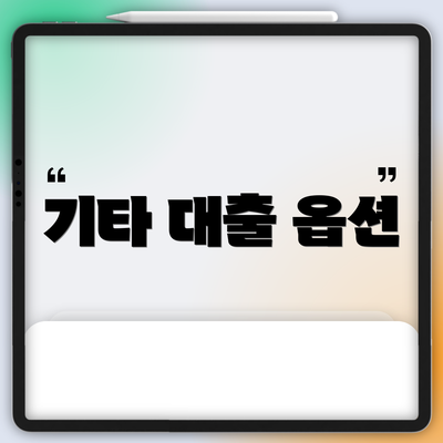 기타 대출 옵션