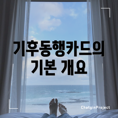 기후동행카드의 기본 개요