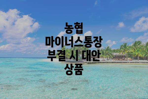 농협 마이너스통장 부결 시 대안 상품