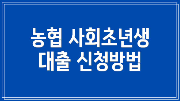 농협 사회초년생 대출 신청방법