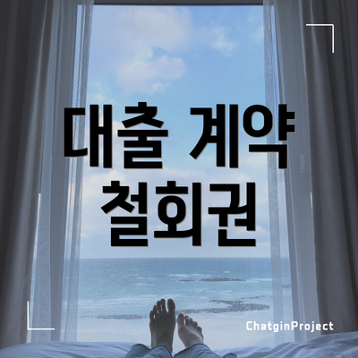 대출 계약 철회권