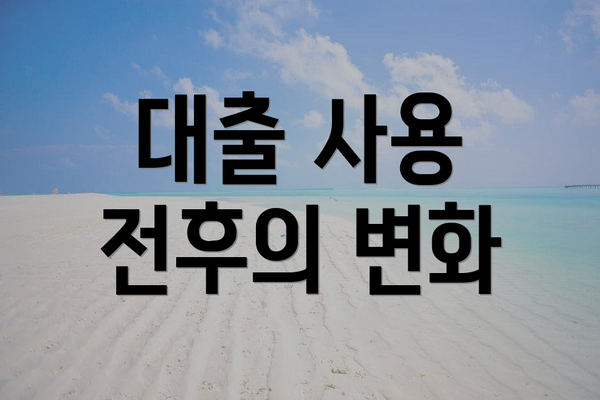 대출 사용 전후의 변화