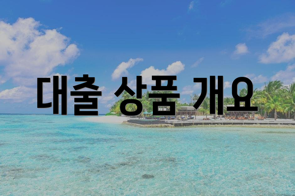 대출 상품 개요