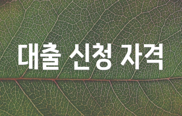 대출 신청 자격