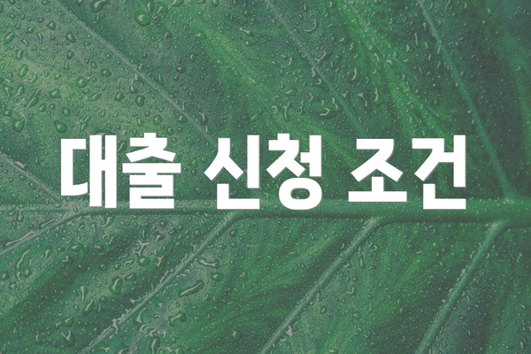 대출 신청 조건