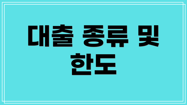 대출 종류 및 한도