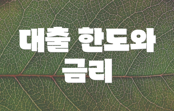 대출 한도와 금리
