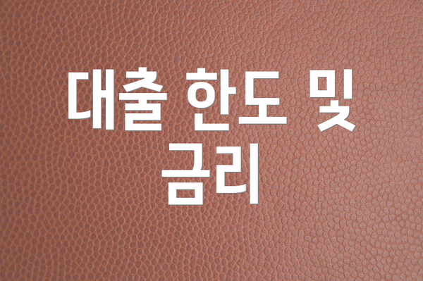 대출 한도 및 금리