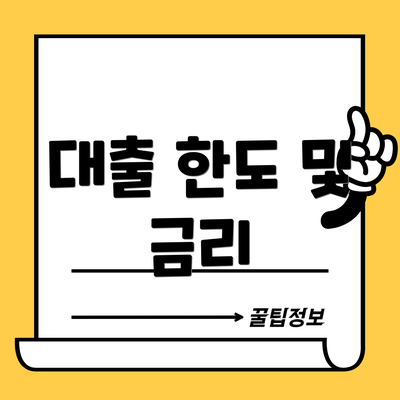 대출 한도 및 금리