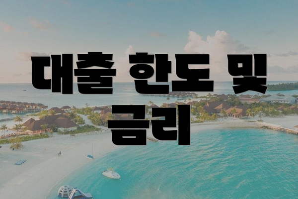 대출 한도 및 금리