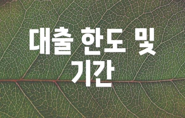 대출 한도 및 기간