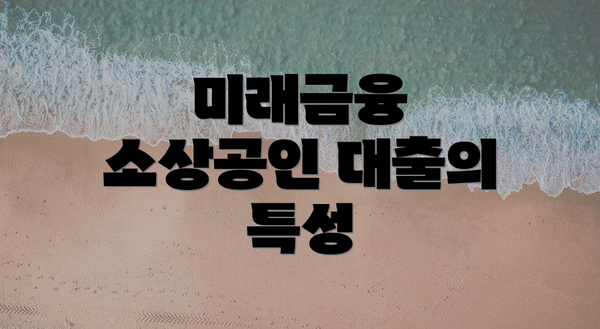 미래금융 소상공인 대출의 특성