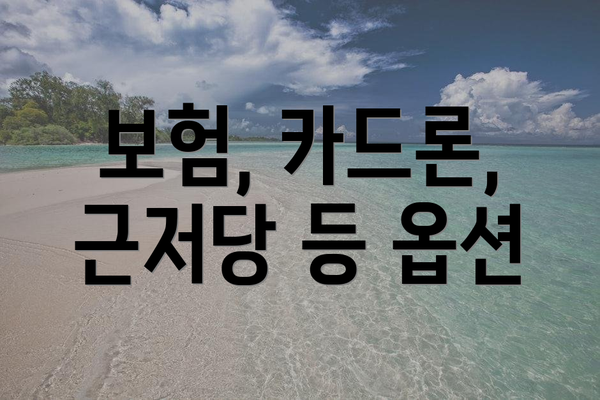 보험, 카드론, 근저당 등 옵션