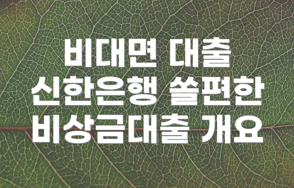 비대면 대출 신한은행 쏠편한 비상금대출 개요