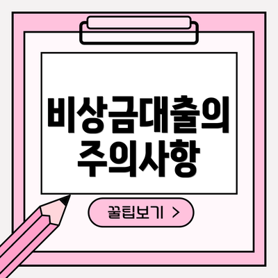 비상금대출의 주의사항
