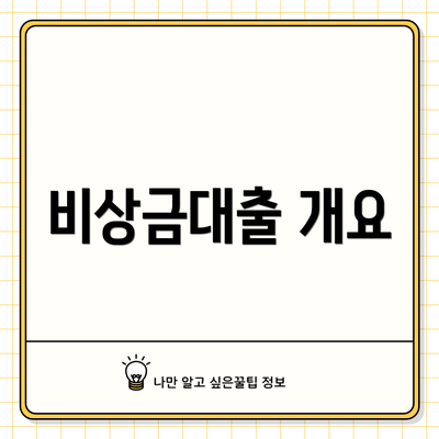 비상금대출 개요