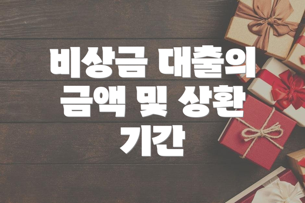 비상금 대출의 금액 및 상환 기간