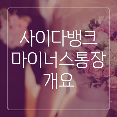 사이다뱅크 마이너스통장 개요
