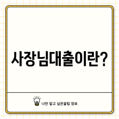 사장님대출이란?