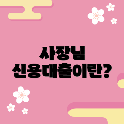 사장님 신용대출이란?