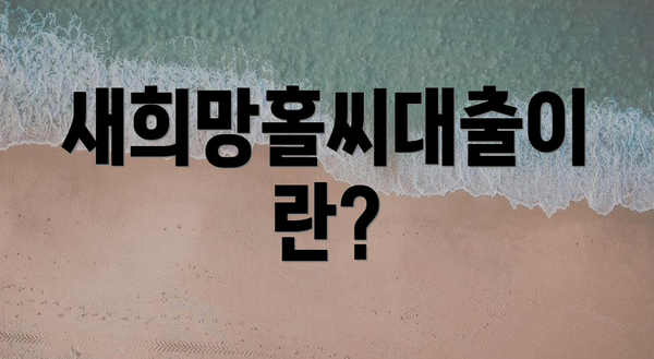 새희망홀씨대출이란?
