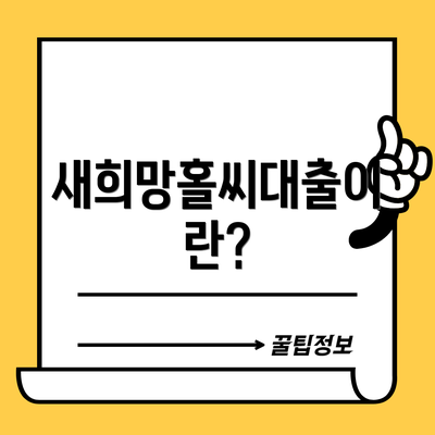 새희망홀씨대출이란?