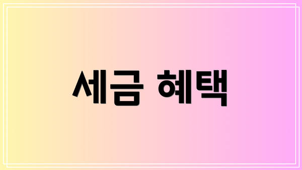 세금 혜택