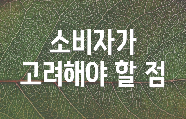 소비자가 고려해야 할 점