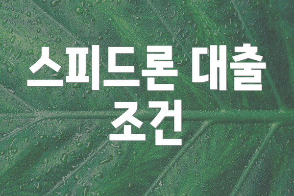 스피드론 대출 조건