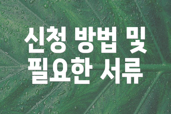 신청 방법 및 필요한 서류