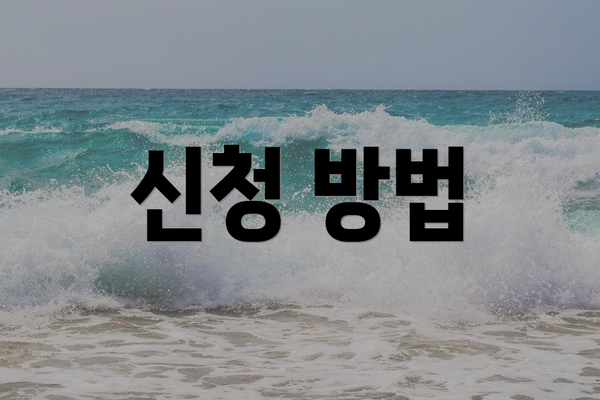 신청 방법