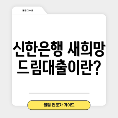 신한은행 새희망드림대출이란?