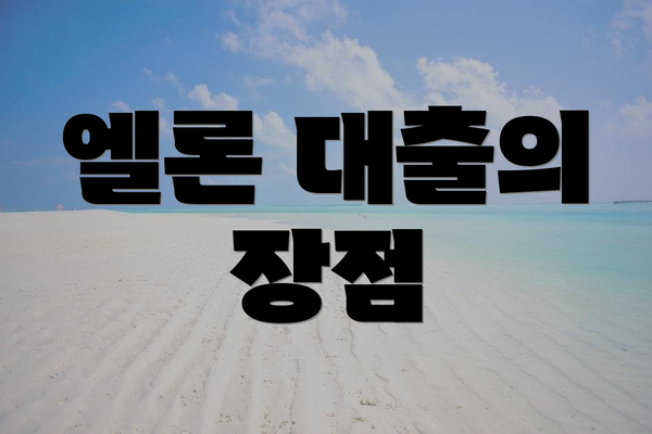 엘론 대출의 장점