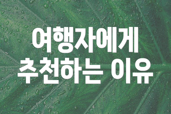 여행자에게 추천하는 이유