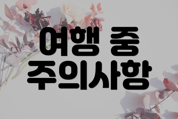 여행 중 주의사항