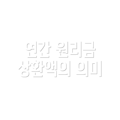 연간 원리금 상환액의 의미