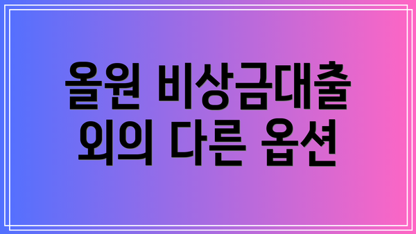 올원 비상금대출 외의 다른 옵션