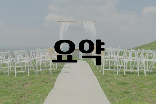요약
