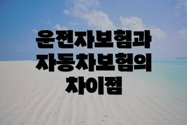 운전자보험과 자동차보험의 차이점