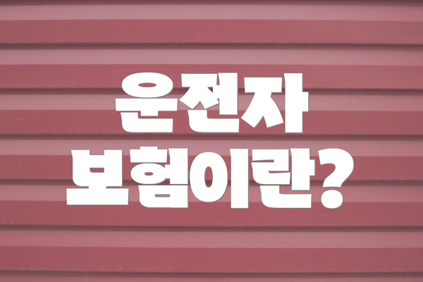 운전자 보험이란?