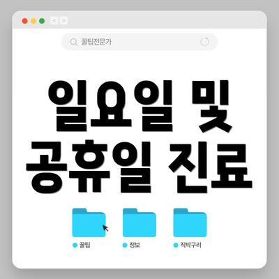 일요일 및 공휴일 진료
