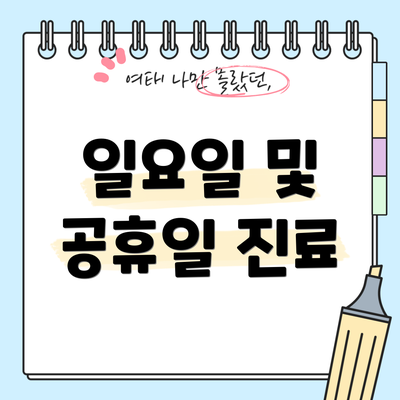 일요일 및 공휴일 진료