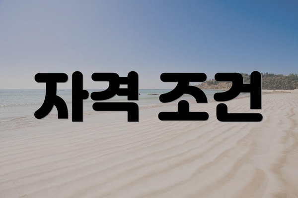 자격 조건
