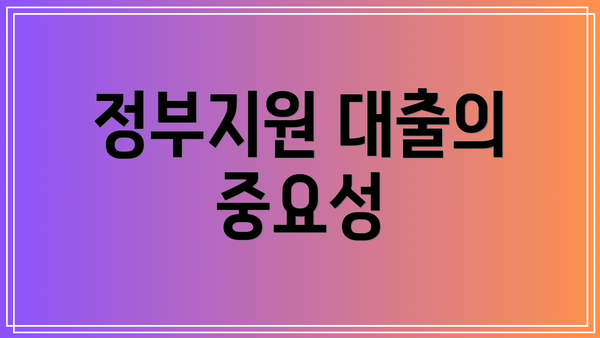 정부지원 대출의 중요성